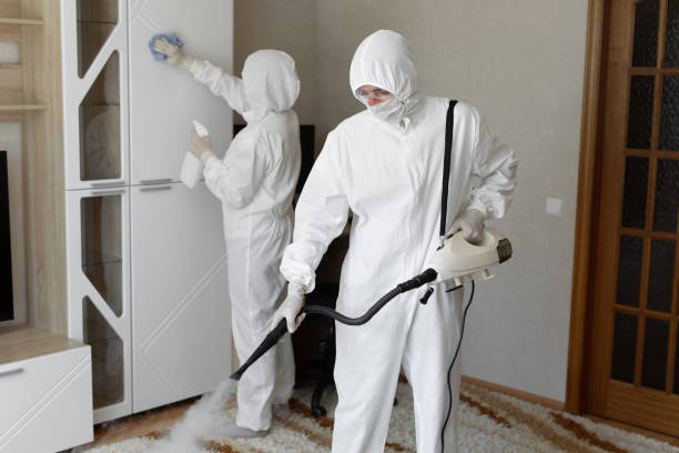 Best Mold Damage Repair  in Jan Phyl Village, FL